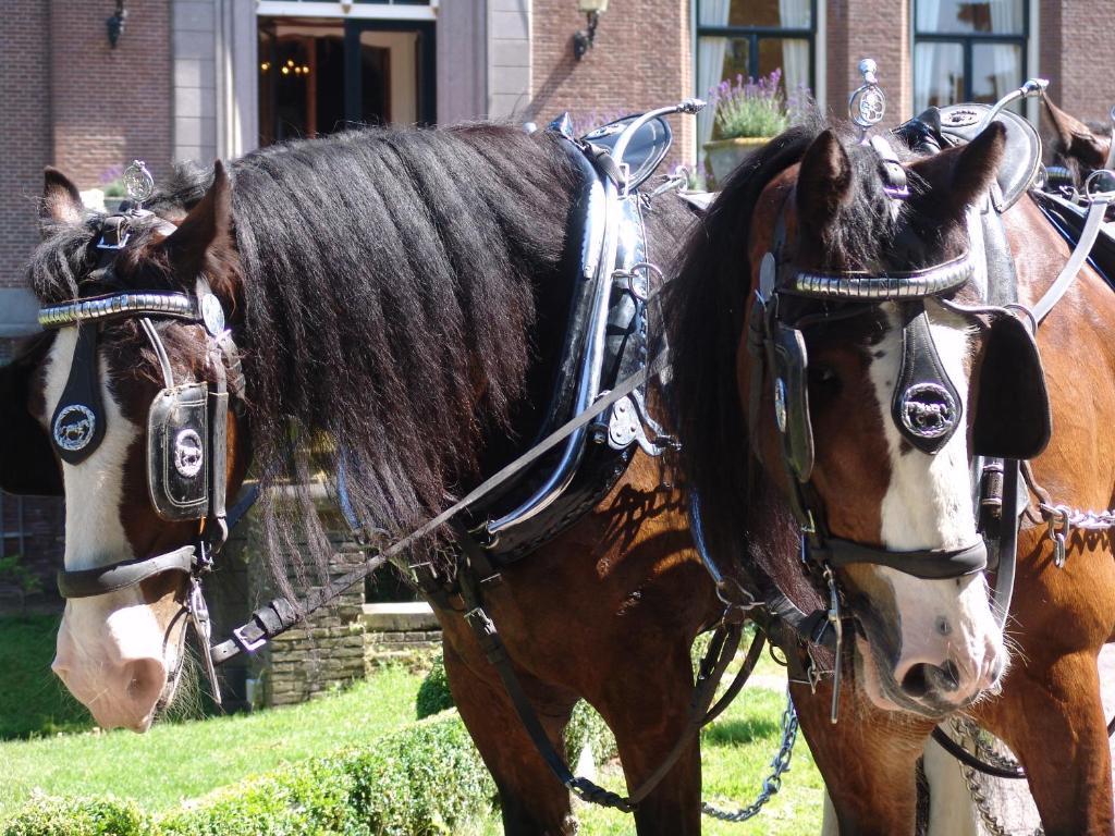 Kasteel Sterkenburg Driebergen Ngoại thất bức ảnh